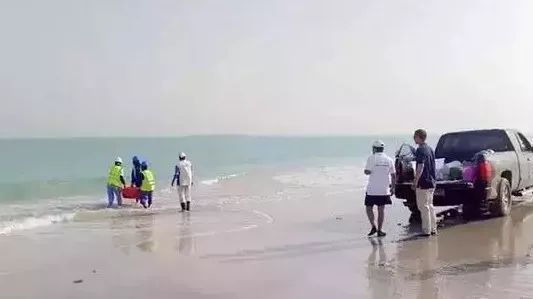������Ϸ| ��ҳ -������Ʒ,������Ʒ
